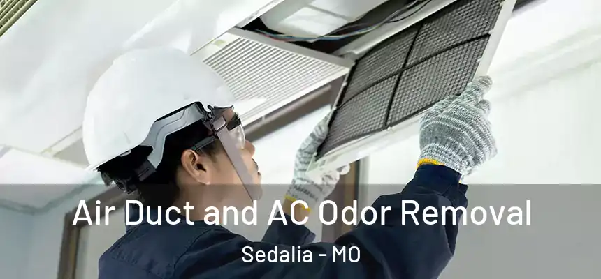 Air Duct and AC Odor Removal Sedalia - MO