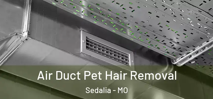  Air Duct Pet Hair Removal Sedalia - MO