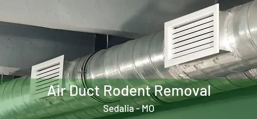 Air Duct Rodent Removal Sedalia - MO