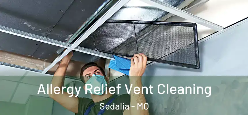 Allergy Relief Vent Cleaning Sedalia - MO