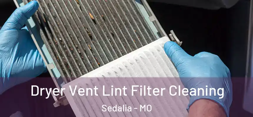  Dryer Vent Lint Filter Cleaning Sedalia - MO
