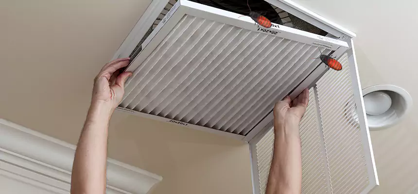 Preventive Cockroach-Proofing for Ducts in Sedalia