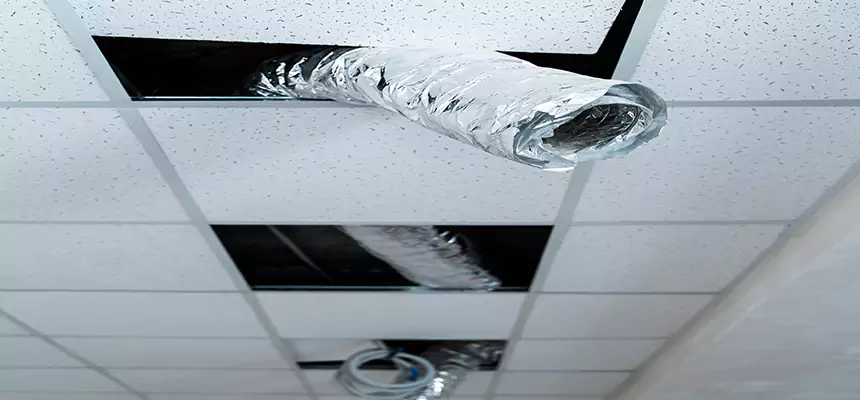 Our Air Duct Pet Hair Removal Services in Sedalia, MO