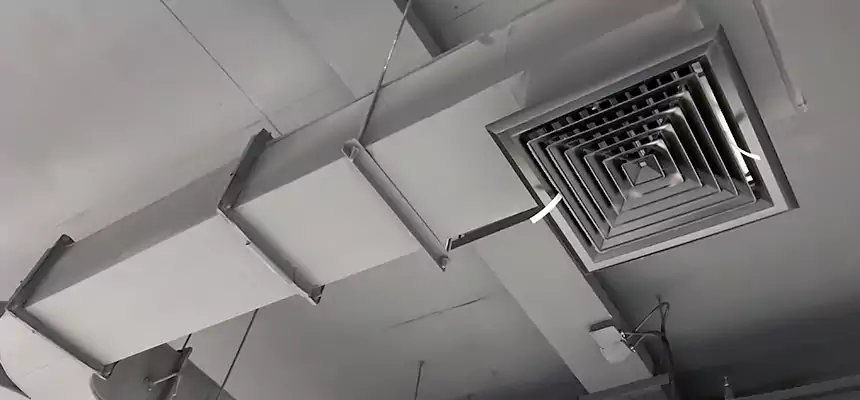 Restorative Allergy Relief Vent Cleaning – Coil, Blower & Housing Detail in Sedalia