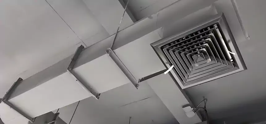 Our Pest Removal From Ducts Services in Sedalia, MO