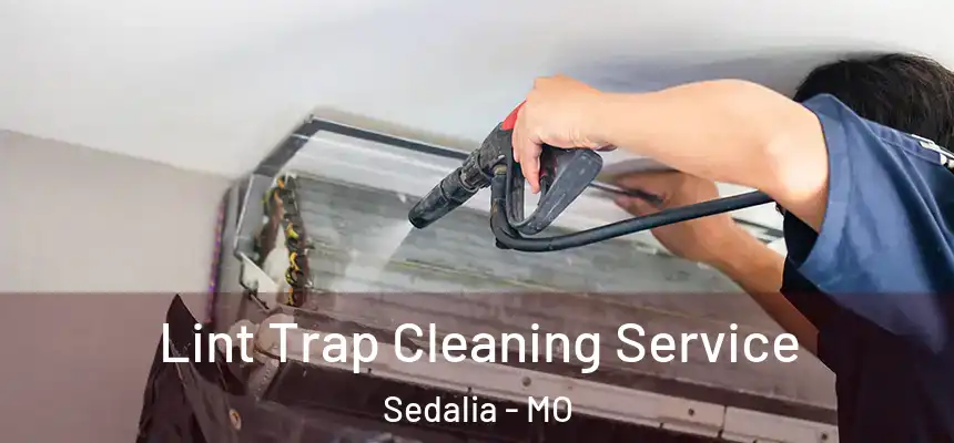  Lint Trap Cleaning Service Sedalia - MO