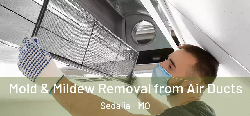 Mold & Mildew Removal from Air Ducts Sedalia - MO