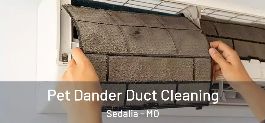  Pet Dander Duct Cleaning Sedalia - MO