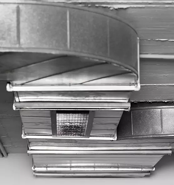 Professional Air Duct Pet Hair Removal in Sedalia, MO