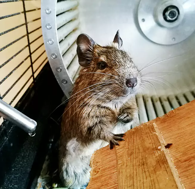 Why Homeowners & Businesses Trust Us Sedalia, MO?